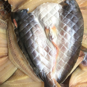 Cá dứa 1 nắng
