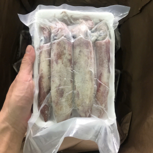 Mực ống nháy 10-12