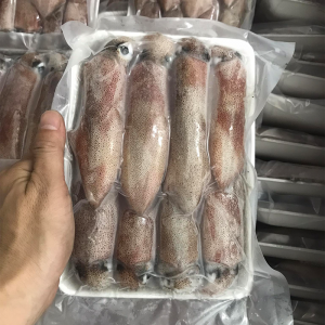 Mực ống 18-22