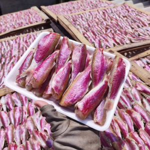 Cá phèn hồng 1 nắng
