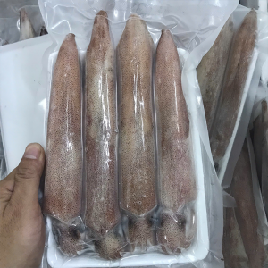 Mực ống 8