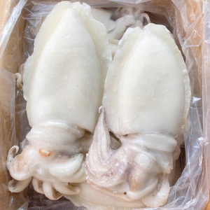 Mực nang làm sạch 500up