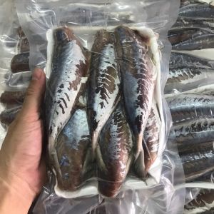 Cá nục gai lột da 12-14