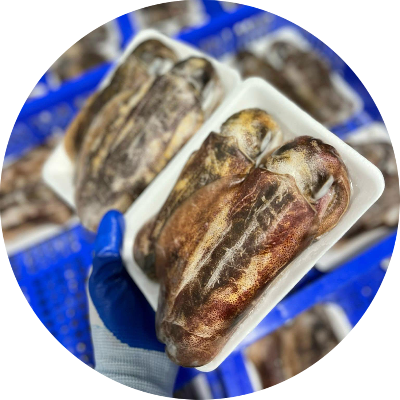 Sản Phẩm Từ Mực